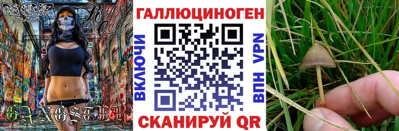 Псилоцибиновые грибы Magic Shrooms  наркошоп  Орёл 